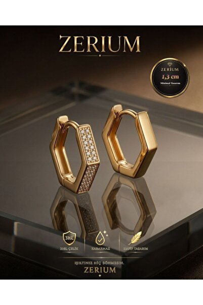 ZERİUM İkonik Dönüş Zamansız Geometrik Şık Çelik Kadın Küpe