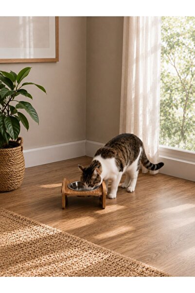 meowuf Ahşap Tekli Kedi ve Köpek Mama ve Su Kabı 200 ML