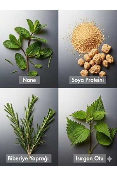 HUSH Veganic Root Recharge Dökülme Önleyici Şampuan 300 ml
