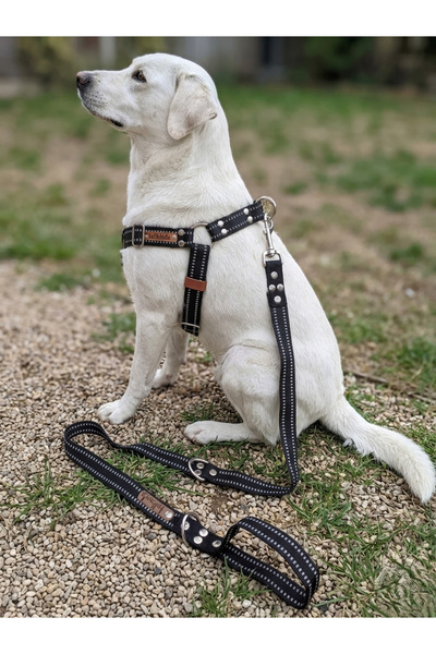 balkonda Dog Chest Harness and Leash Set of 2 Adjustable Black Collar Small &...