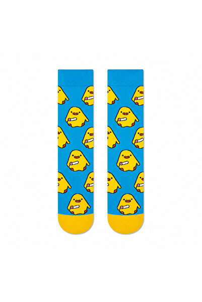 CARNAVAL SOCKS Katil Civciv Desenli Renkli Soket Çorap