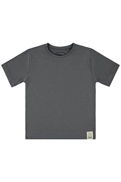Civil Boys Basic Surf Label T-Shirt for Ages 6-9 - Gray