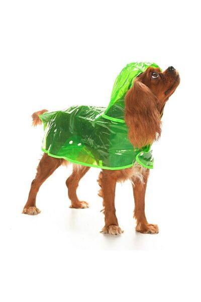 Petza Dog Small and Medium Breed Raincoat Otso Transparent Green