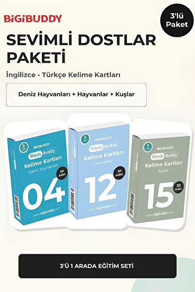 WordsBuddy Çocuklar İçin Türkçe İngilizce Sevimli Dostlar Paketi 90 Kart 3'lü Set (Cihaz Hariç)