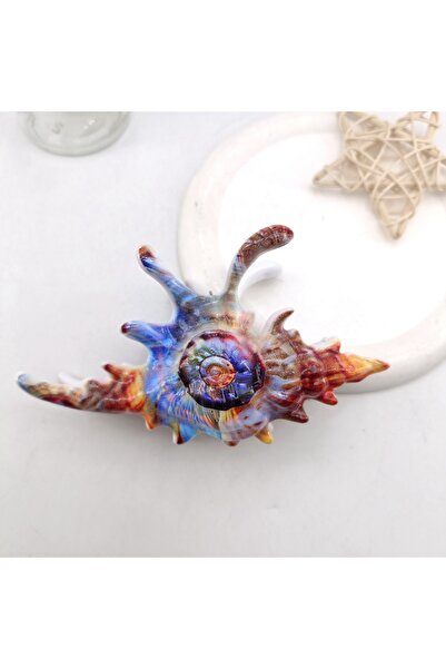 Choice Hair Claws 02 High Quality Plastic Wave Crab Claw Clips conch ocean de...