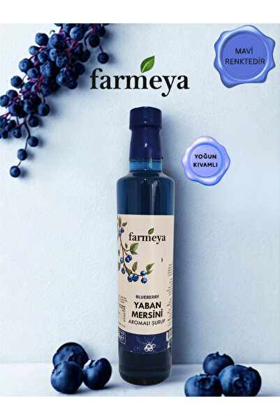 farmeya Yaban Mersin Özü 700gr - Yaban Mersini Meyveli Şurup