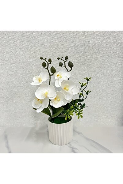 Choice white Artificial Orchid Butterfly Double Bundle with 6 Blooms, Pot Pla...
