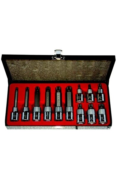 Rico 12 Pc1/2 m Type Torx Socket Set