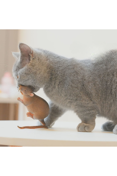 Choice 1 pcs Realistic Cat Mouse Toy Soft Teaser with Bite-Resistant Design f...