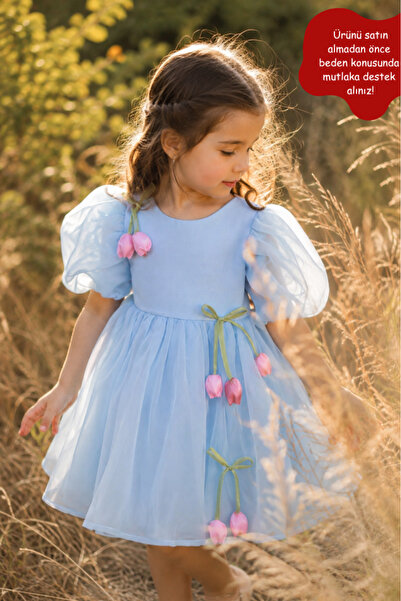 Eray Kids Girl's Tulle Detailed Appliqued Princess Dress – Special Occasion &...
