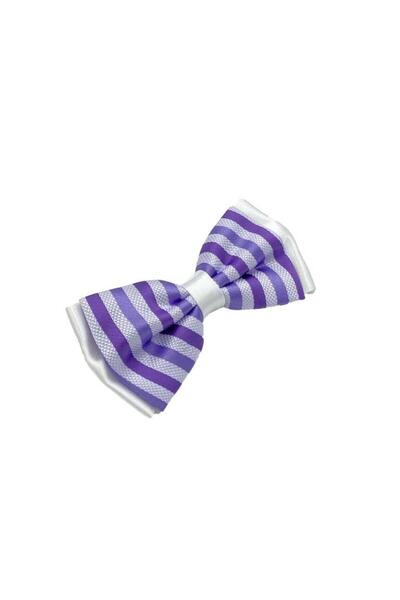 Brianze Bow Tie Patterned Lilac Striped Design
