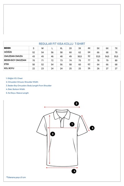 Kiğılı Polo Collar Regular Fit Cotton Plain T-Shirt