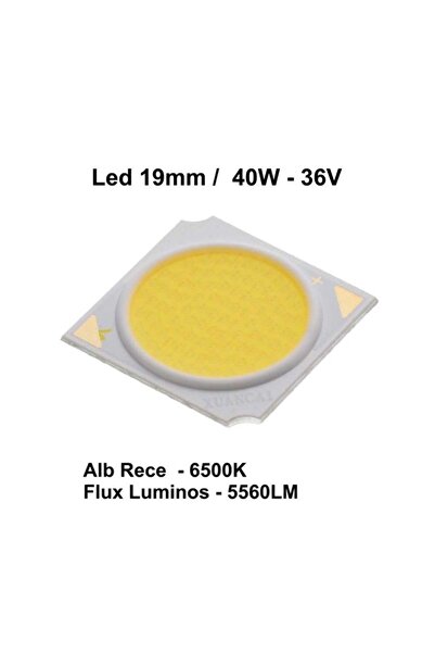 Stef's Cat LED COB 19mm, Putere 40W,