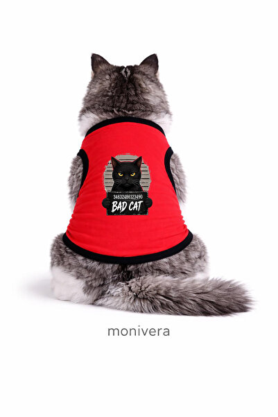 Modetra New Season Summer Bad Cat Printed Colorful Piping Cat Outfit - Unders...