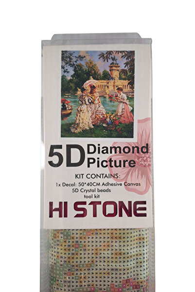 histone طقم تطريز بالألماس 5D مقاس 40 × 50 سم بنمط أميرات الحقول الزهرية