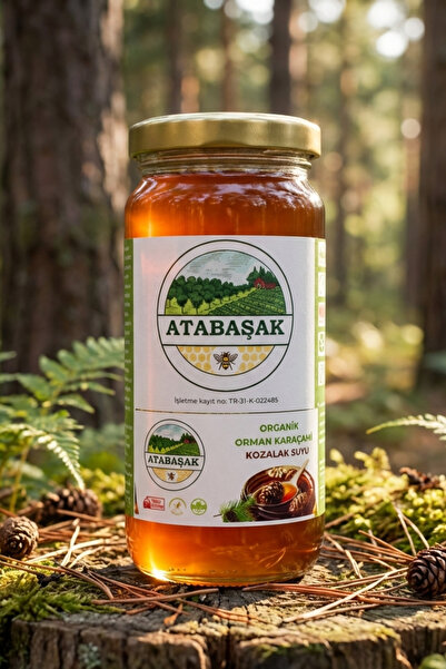 ATABAŞAK Doğal Karaçam Kozalak Suyu 230 Gr, Koruyucu İçermez
