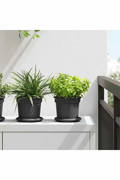 vidaxl Tava rotunda pentru flori 24 pcs Negru Ã˜ 14 x 2 cm Plastic