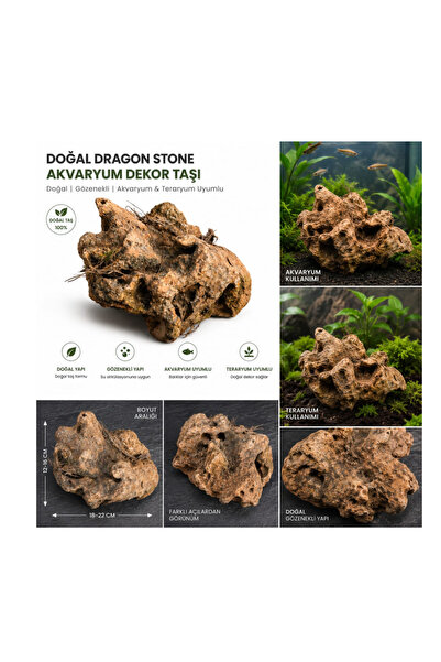 NO NAME Doğal dragon stone Akvaryum ve teraryum Dekor taşı