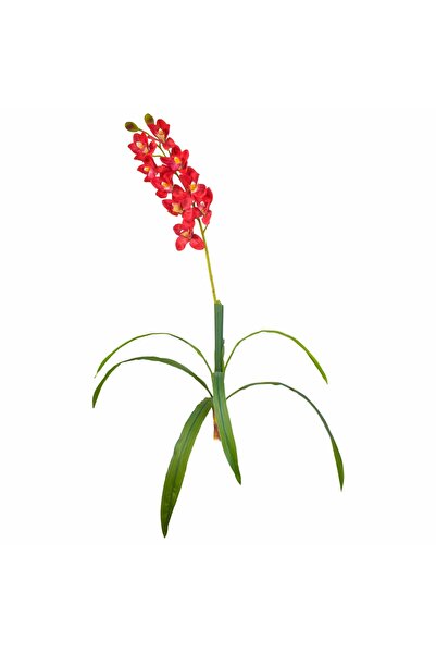 Naimeed Company Floare artificială, Orhidee fără ghiveci, Naimeed D5639, 130x...
