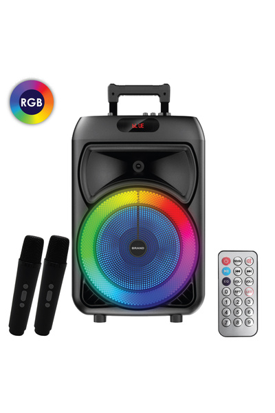 Zumzeria Bluetooth Karaoke Speaker Wireless Microphones LED & Radio 40W
