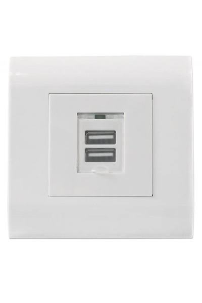 Intellinet Flush mount socket with 2-ports USB type A 772211_