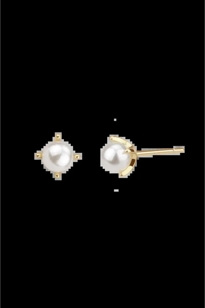 Lisa&Co. Cercei Argint Simple White L Argint placat cu aur galben / Shellpearls