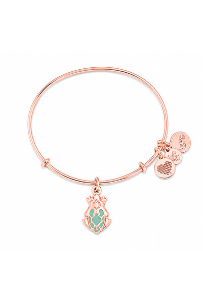 Alex and Ani Bratara Metal A17EB03SR