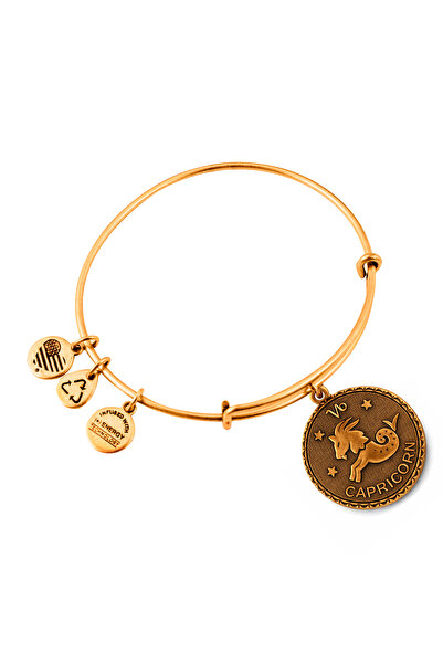 Alex and Ani Bratara Metal A07EB40CARG