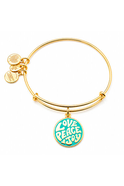 Alex and Ani Bratara Metal A18WAP05SG