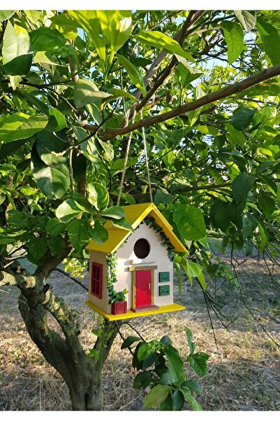 Brokoli Home El Yapımı Ahşap Kuş Yuvası Dekoratif Kuş Evi Bahçe Balkon Dekora...