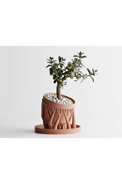 Tasarım Organic Planter Dekoratif Saksı - Kök Detaylı Modern Bitki Saksısı 12 cm