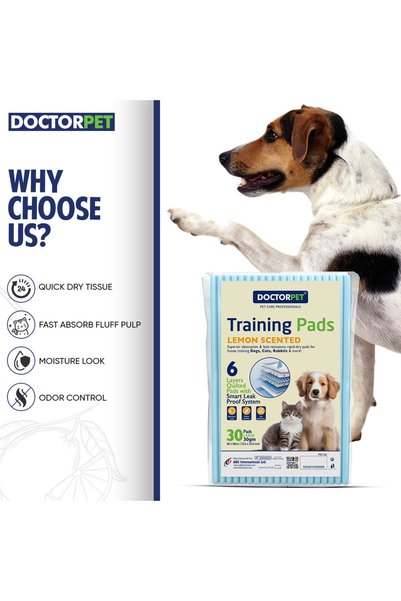 Doctor Pet Training Pads 60x60cm 30g Regular Lemon 30's - Leakproof, Odor-Controlled Pee Pads, Quick-Dry