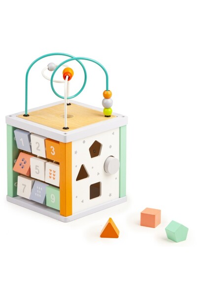 Ecotoys Set educativ din lemn pentru sortare cuburi + blocuri