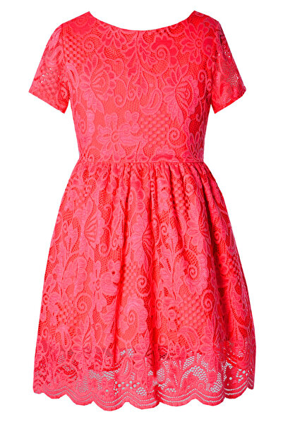 EMMA sukienki Rochie eleganta Nicole Roz