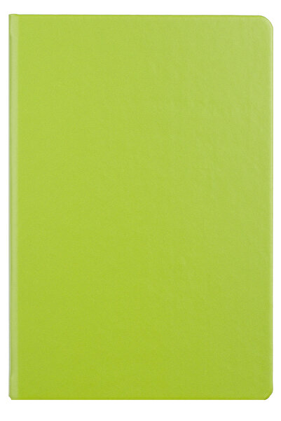 Ego Green Undated A5 Agenda