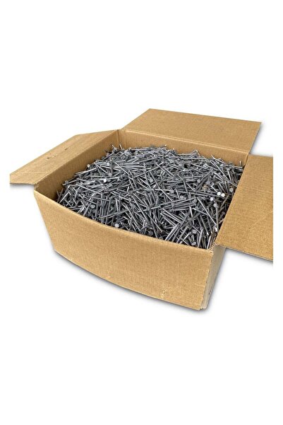 Duravel Galvanised Round Wire Head Nails, Bulk Box (3 KG, 2 INCH)