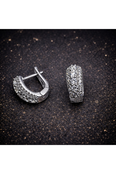 ArgintBijuterii 925 silver earrings