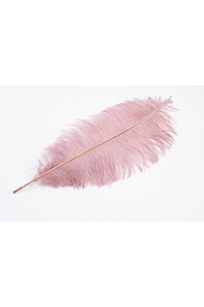 OEM Pene De Strut Roz Prafuit 45-50cm 10/Set Roze