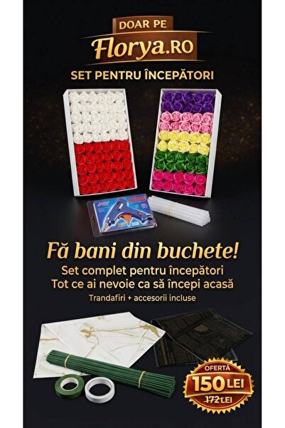 OEM Set pentru incepatori