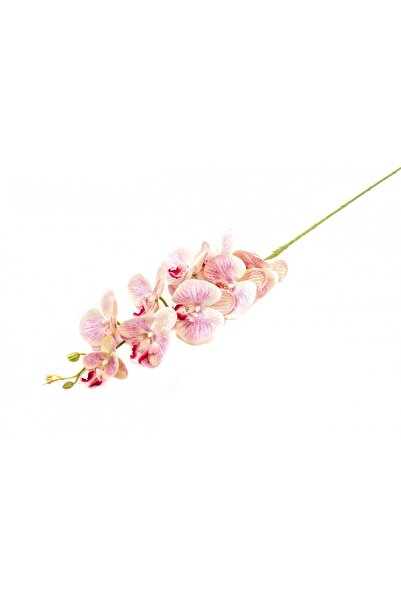 OEM Flori Artificiale Orhidee Roz Cu Crem 9/Fir