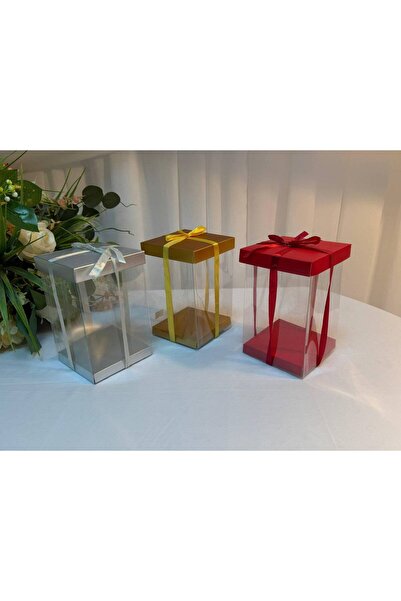OEM Cutie Cadou Acetofan Cu Suport Si Capac Carton 30x22x22cm 10/set argintiu