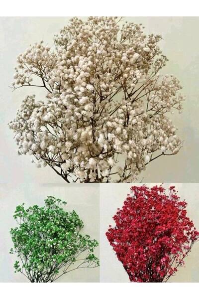 OEM Dark Blue Stabilized Gypsophila Bouquet