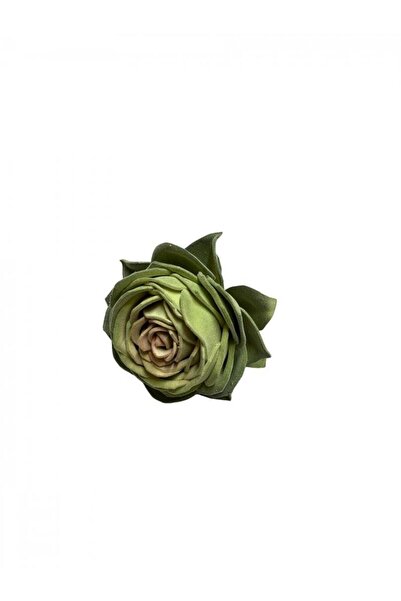 OEM Flori Suculente Artificiale Verde Roz Mica