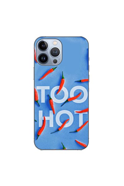OEM Husa compatibila cu Apple iPhone 13 Pro Max Silicon Gel Tpu Model Mesaj T...