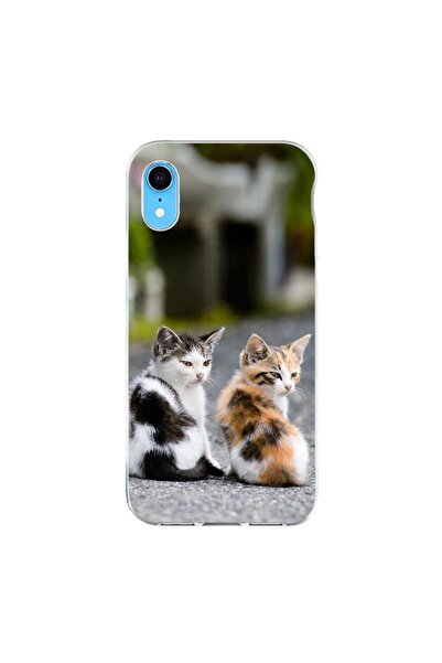 OEM Калъф, съвместим с Apple iPhone XR, силиконов гел TPU, с шарка на котенца