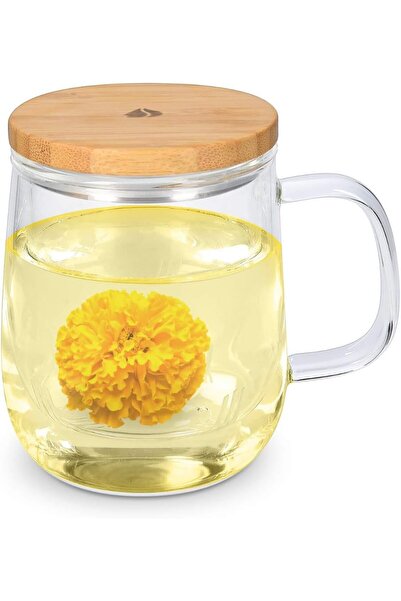 Navaris Cana de ceai cu filtru și capac din bambus, 500ml, Transparentă, 5009...