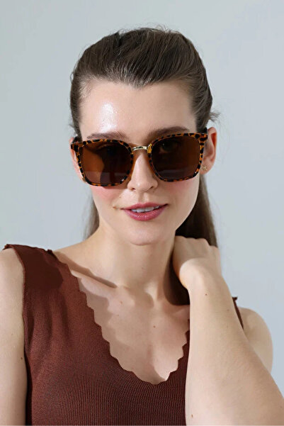 Violon Women's Leopard Frame Brown Glass Sunglasses with Handle Detail