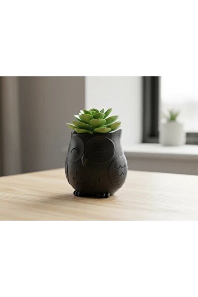 OEM Ghiveci Decorativ Bufniță Stil Japandi - Suport Plante Mici
