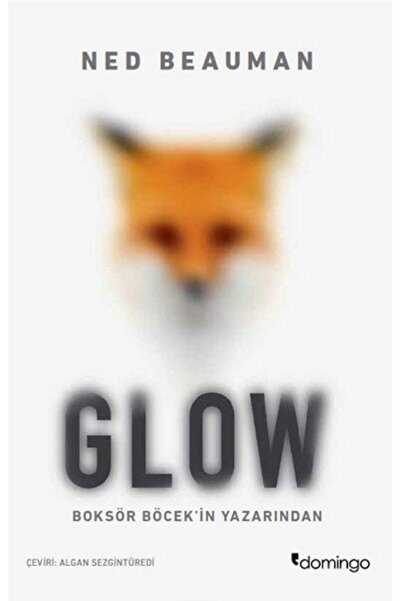 Domingo Yayınevi Glow Ned Beauman
