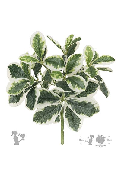 Roberto Rossi Artificial Euonymus bush D24xH30 cm